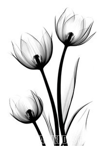 001-3