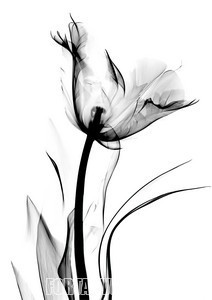 002-4