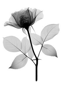 003-4