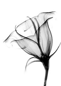 005-3