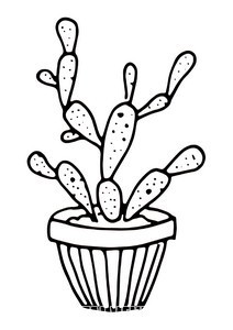 006-1