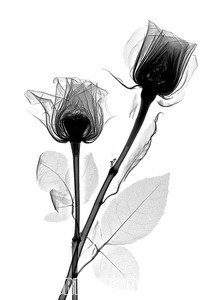 007-2