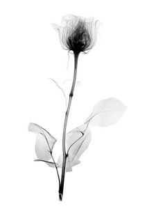011-1