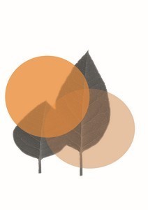 1_8
