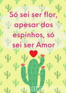 1_FRASES-019