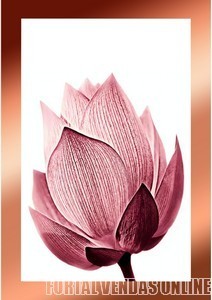 CollageMaker_20201214_180311960