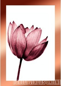 CollageMaker_20201214_180359782