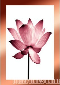 CollageMaker_20201214_180532342